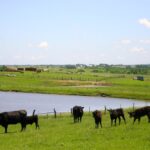 The BMP funding program cost shares on a range of on-farm projects between the producer and provincial government.