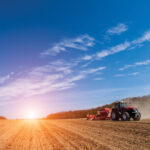 Every year farmers vote on varieties while sowing their crops, and MASC has just released the latest data.