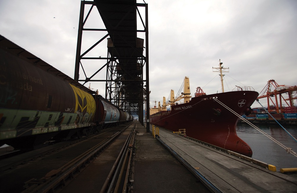 Pulse industry watching container supply closely