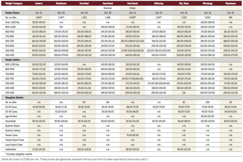 Feedlots within Manitoba are loading up on feeder cattle during this year&rsquo;s fall run.