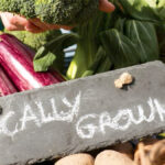 COVID-19 has pushed governments to consider food autonomy as a priority and support local supply chains. But buying local produce is easier said than done.