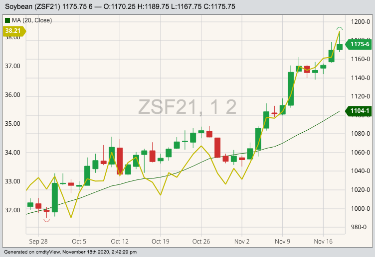 CBOT January 2021 soybeans (candlesticks) with 20-day moving average (green line) and CBOT January 2021 soyoil (yellow line). (Barchart)
