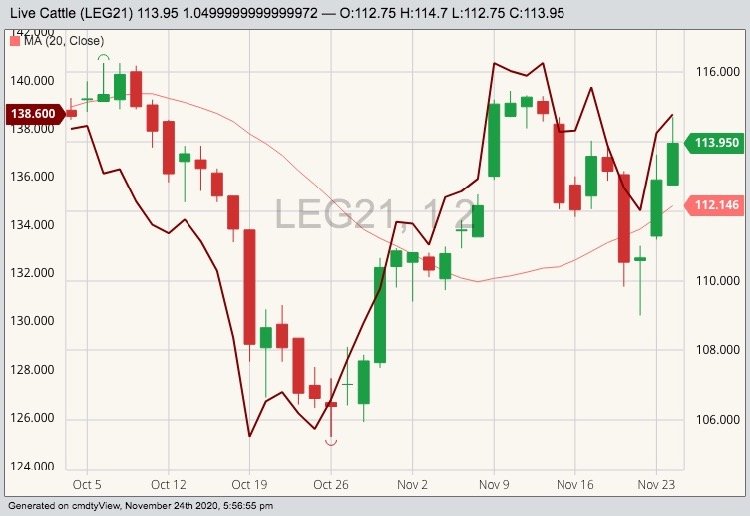 CME February 2021 live cattle (candlesticks) with 20-day moving average (pink line) and CME January 2021 feeder cattle (dark red line). (Barchart)
