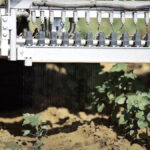 You need to look closely but this still from a Blue River Technology video shows “robotic nozzles” drenching a weed with a herbicide while leaving the adjacent cotton plants untouched.