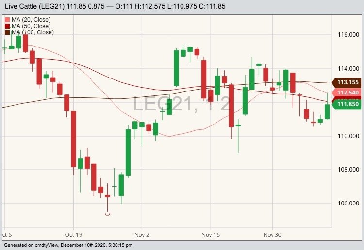 CME February 2021 live cattle with 20-, 50- and 100-day moving averages. (Barchart)
