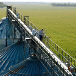 Vanessa Kummer is seen on a storage bin catwalk on the family farm near Colfax, North Dakota, U.S., August 6, 2019.  Picture taken on August 6, 2019.