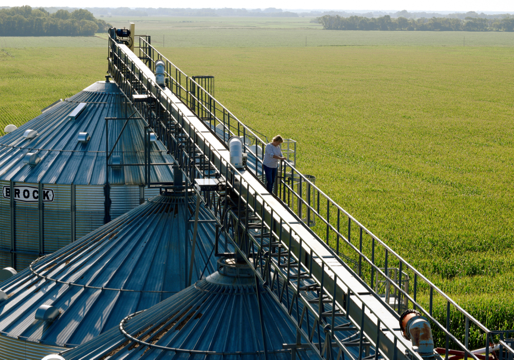 Vanessa Kummer is seen on a storage bin catwalk on the family farm near Colfax, North Dakota, U.S., August 6, 2019.  Picture taken on August 6, 2019.