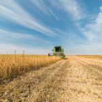 Concerns over world soybean stocks, driven partly by concern for growing conditions in South America, are lending even more support to canola values.