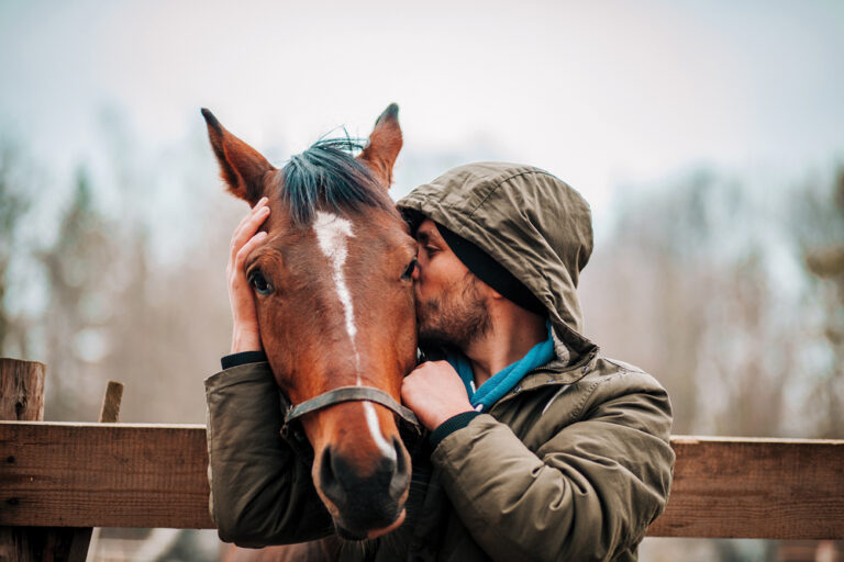 The ‘cresty’necked horse Manitoba Cooperator