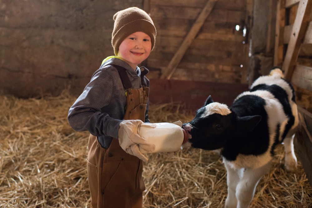 (Katie Ellement/iStock/Getty Images)
