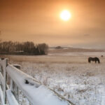 The CFS weather model calls for near-average precipitation in February on the Prairies — outside of southern Alberta and Saskatchewan, that is.