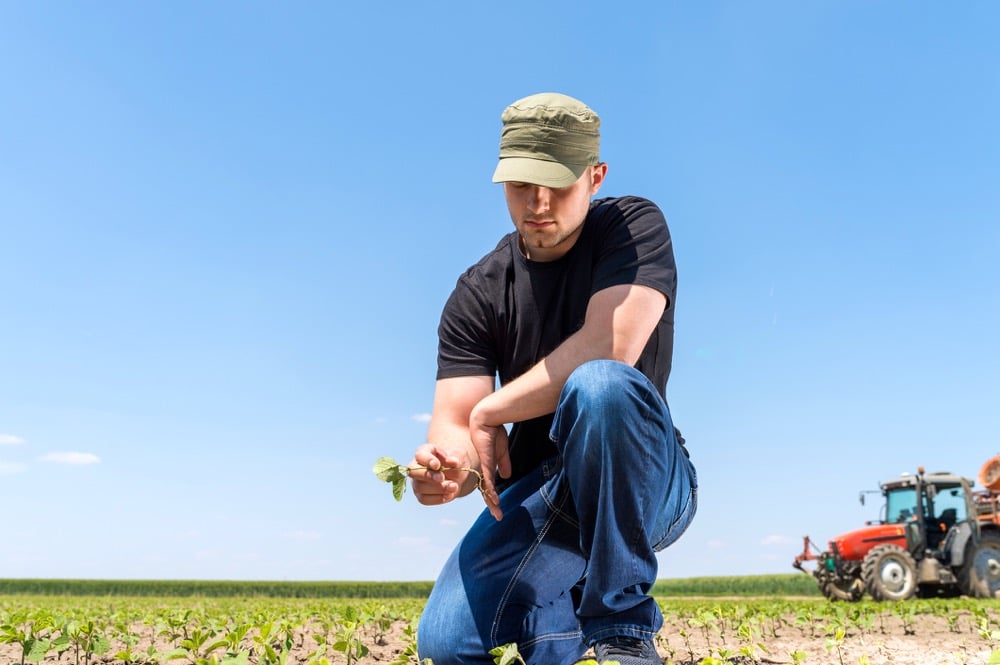 Still hard for young to start farming