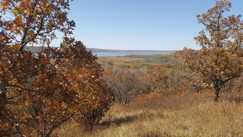 It’s not just a pretty sight, a natural landscape also benefits everyone.