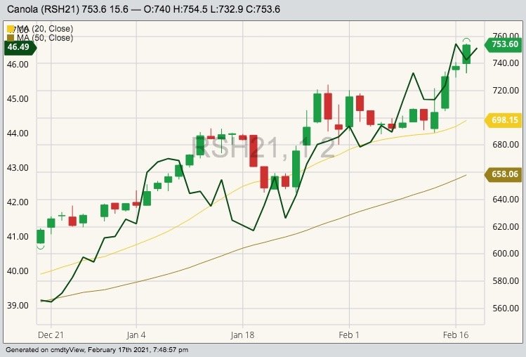 ICE March 2021 canola with 20- and 50-day moving averages and CBOT May 2021 soybean oil (dark green line). (Barchart)
