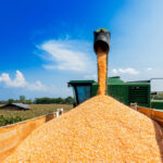 Farmer says new MCA board acted in an undemocratic fashion.