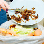 According to the Impact Canada website, over half of all food in Canada is wasted every year.