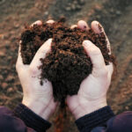 Paying farmers to store carbon in their soils is, at least in theory, a win-win scenario.