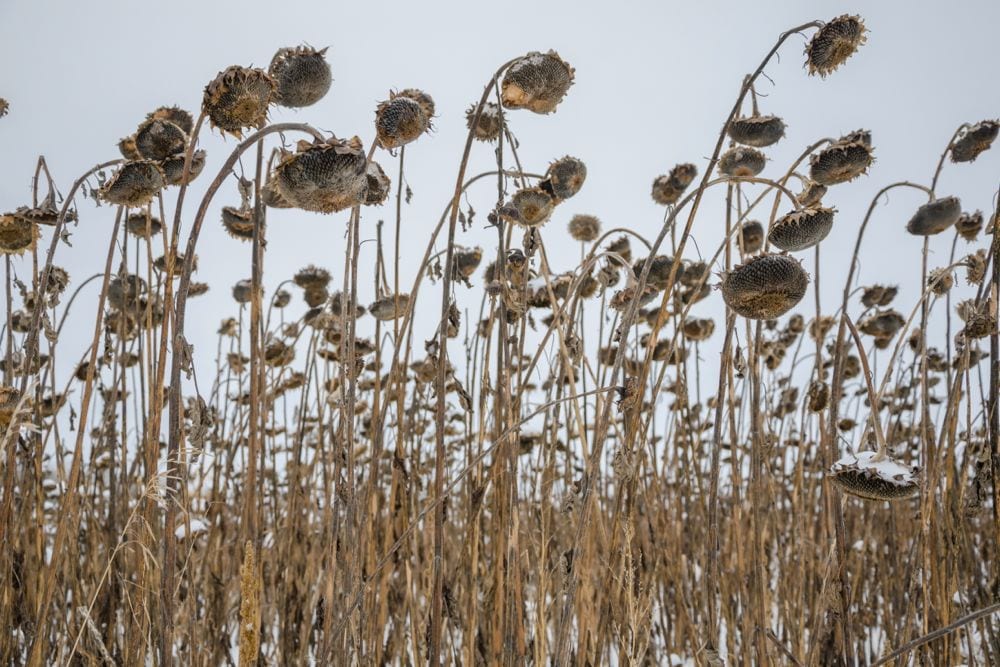 (GZKele/iStock/Getty Images)
