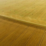 A new proposed program to AgriStability could be modelled similar to crop insurance.