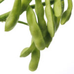 “We are seeing a continued growth trend for soy products... “ – Warren Feather, Cargill