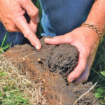 Take a systematic approach to improving the ecosystems beneath your feet.