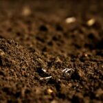... the health of one soil can be very different from the health of another and both are healthy.” – David Lobb, University of Manitoba.