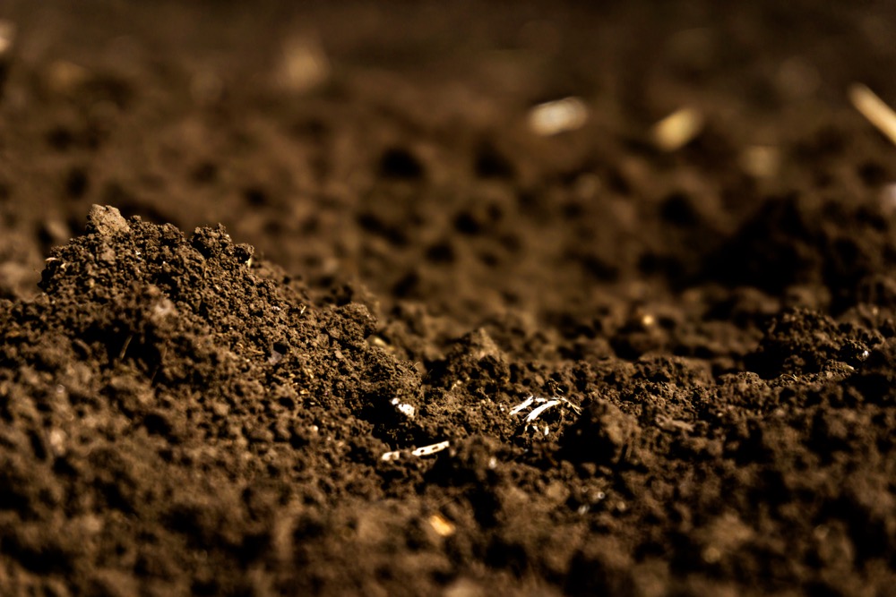 ... the health of one soil can be very different from the health of another and both are healthy.” – David Lobb, University of Manitoba.