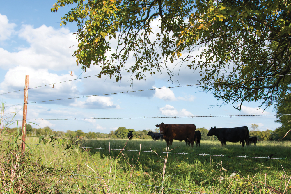 “We view this as really positive for producers’ protection with regards to trespassing.” – Bill Campbell, KAP.