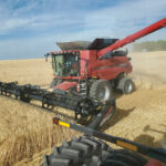 This photo from barleyharvest.ca shows AC Bow — one of three newer varieties being recommended for growers this year — being harvested near Lethbridge late last summer. Although only accounting for 2.7 per cent of malt acres last year, AC Bow moved up to fifth spot in popularity. Another recommended variety, AAC Connect, took fourth spot at 5.2 per cent of acres while the third, CDC Fraser, was in seventh place (2.1 per cent of acres).