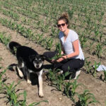 There are a number of things you need to get right when growing corn, says Sara Meidlinger, a market development specialist with Pride Seeds.