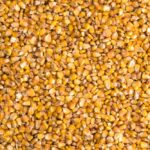 Mexico will miss corn output forecast, farmers’ group says