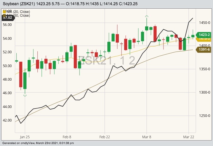 CBOT May 2021 soybeans (candlesticks) with 20- and 50-day moving averages and CBOT May 2021 soyoil (black line). (Barchart)
