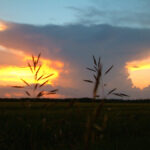 Feds invest in climate-smart agriculture