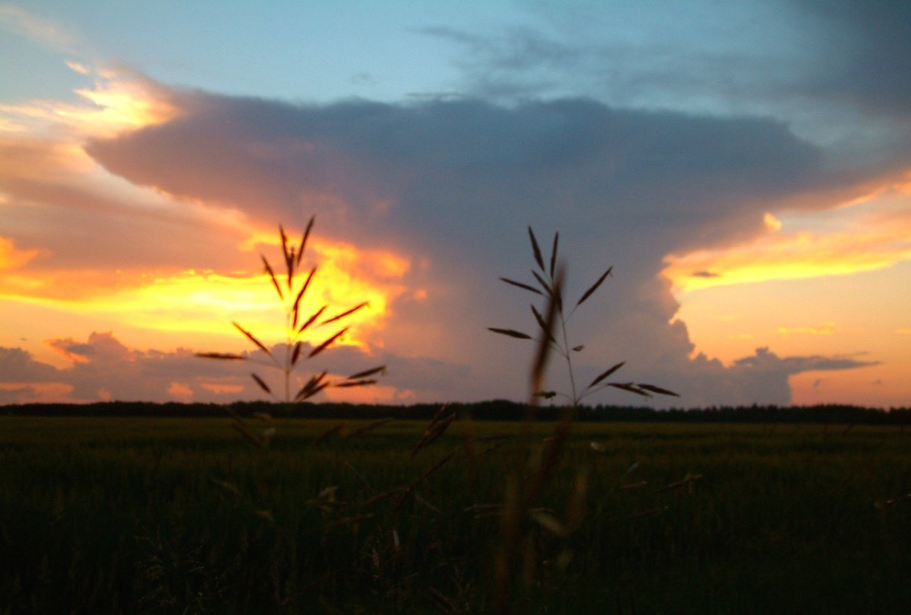 Feds invest in climate-smart agriculture