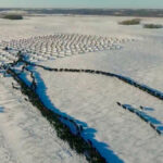 An aerial view of a bale-grazing pod on the Nerbas farm.