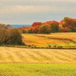 Be sure to consider capital gains implications several years before selling a farm.