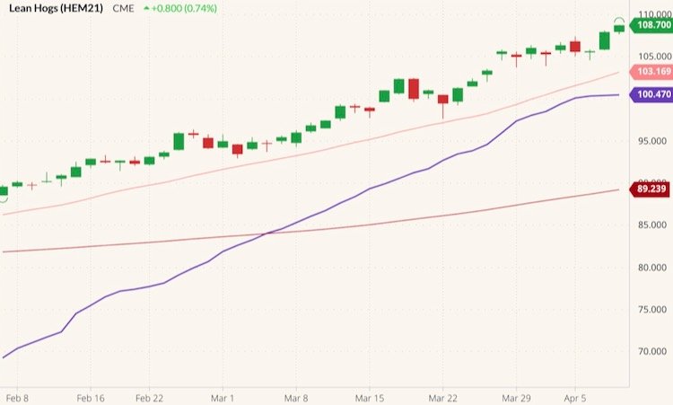 CME June 2021 lean hogs (candlesticks) with 20- and 100-day moving averages (pink, red lines) and CME lean hog index (purple line). (Barchart)
