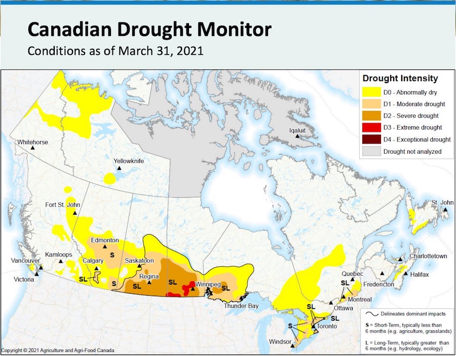 Prairies hit hard by drought