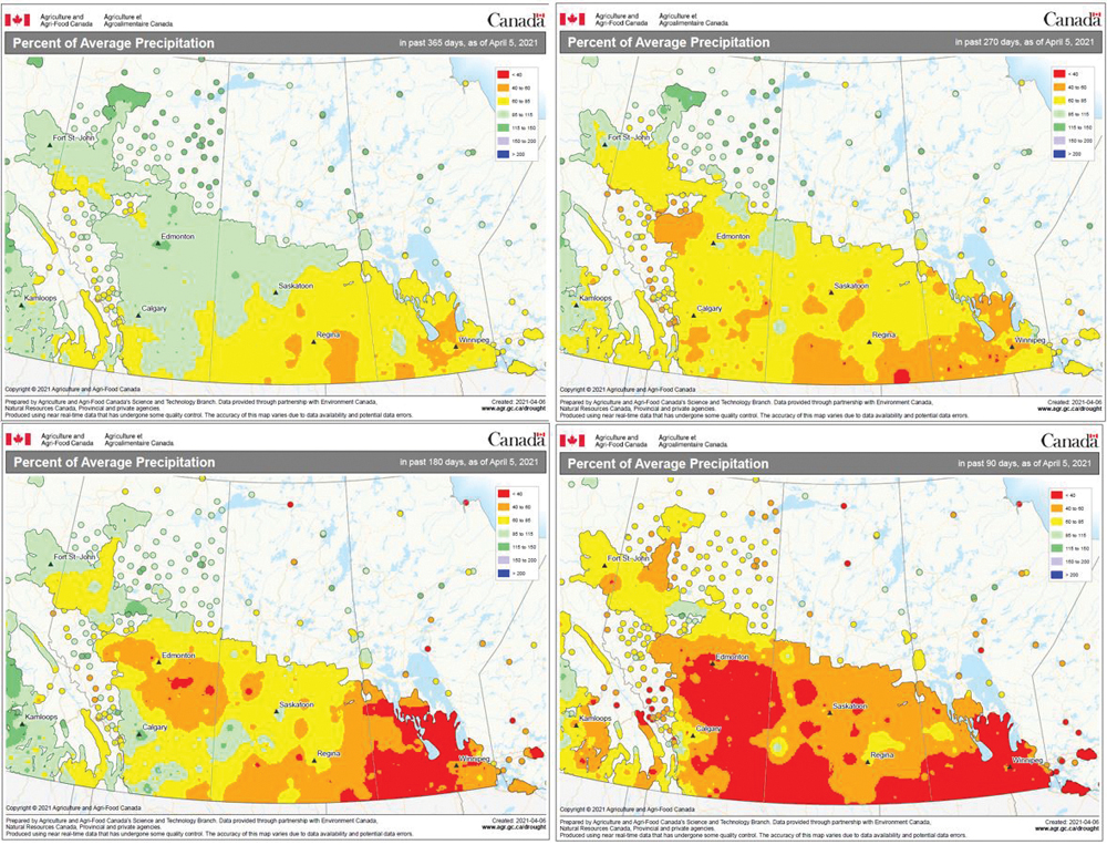 These maps show the percentage of average precipitation across the Prairies over the last 365 days in the top left corner; last 270 days, top right; 180 days, bottom left; and 90 days, bottom right. While not necessarily the best way to see the progression, this does show an interesting pattern of increasingly dry conditions.