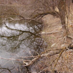 Ponds in central Manitoba, normally swollen with snowmelt, were far below the high-water mark in early April.