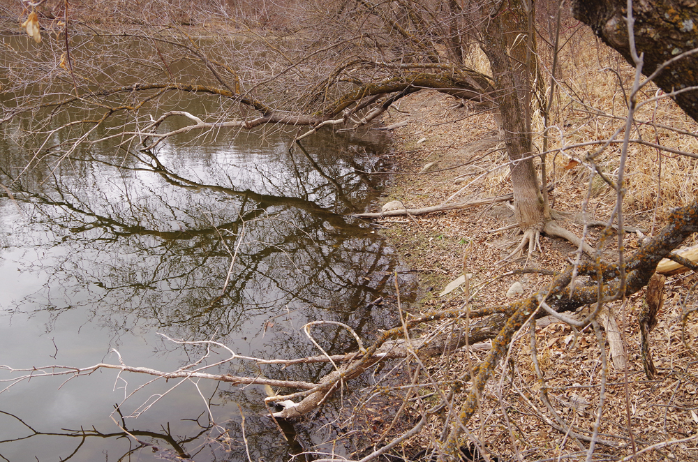 Ponds in central Manitoba, normally swollen with snowmelt, were far below the high-water mark in early April.