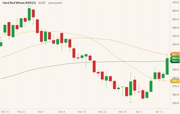 Kansas City May 2021 wheat (candlesticks) with 20-, 50- and 100-day moving averages (yellow, orange, green lines). (Barchart)
