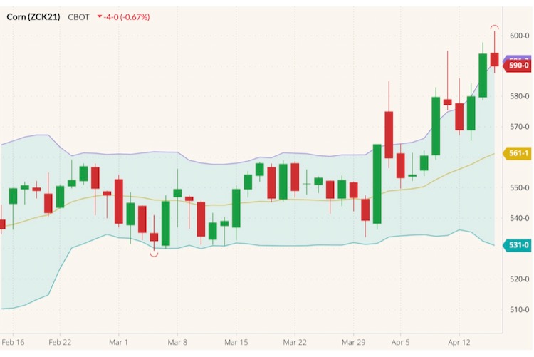 CBOT May 2021 corn with Bollinger (20,2) bands. (Barchart)
