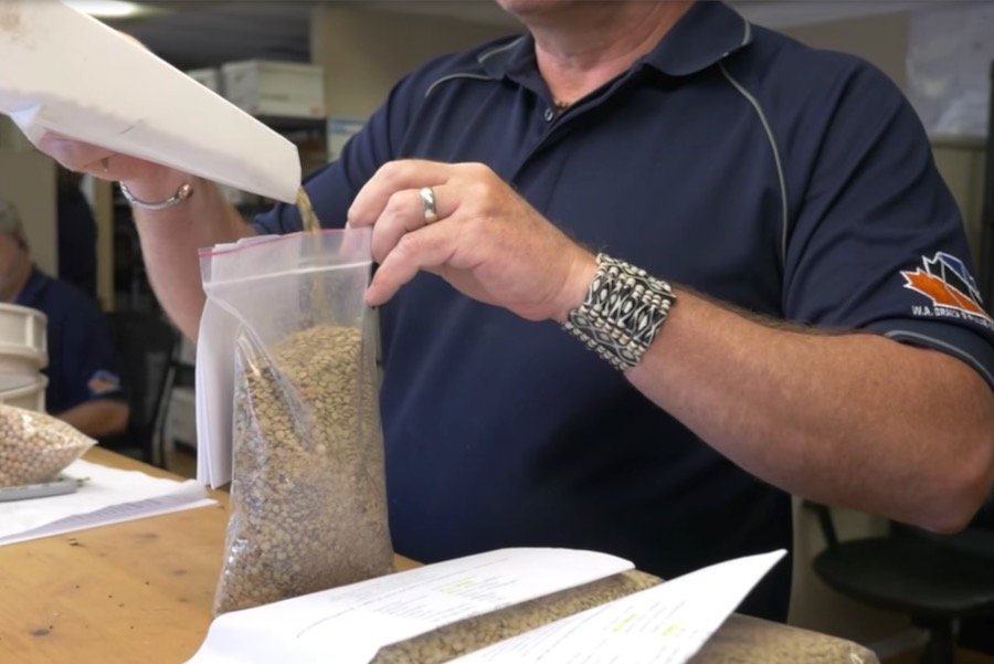 Screenshot from an Alberta Agriculture video profiling Innisfail-based pulse and grain handler W.A. Grain and Pulse Solutions. (Alberta Agriculture and Forestry via YouTube)
