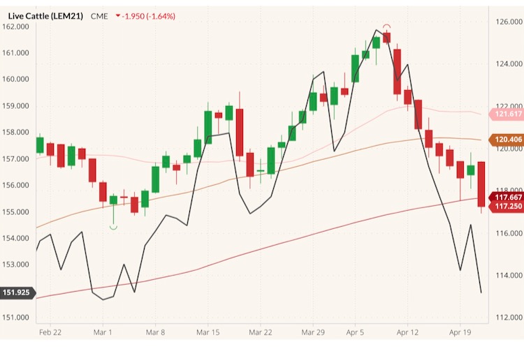 CME June 2021 live cattle (candlesticks) with 20-, 50- and 100-day moving averages (pink, brown, red lines) and August 2021 feeder cattle (black line). (Barchart)
