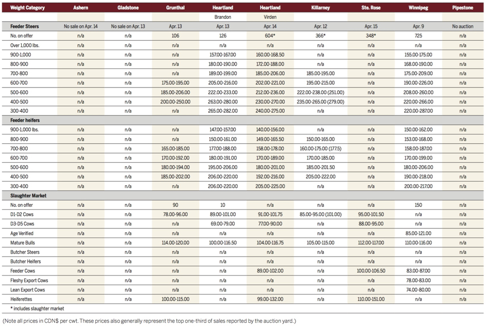 Recent snowstorm a mixed blessing for cattle markets