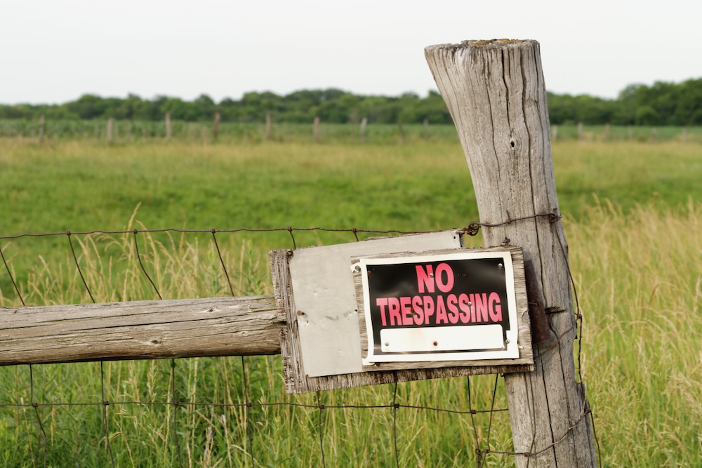 (Kevin_LS/iStock/Getty Images)
