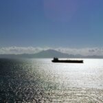 Bunge’s agent overturns Brazil injunction blocking access to key port