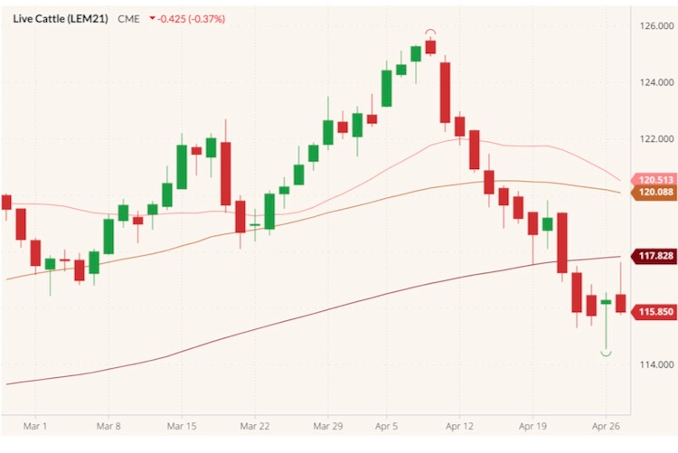 CME June 2021 live cattle (candlesticks) with 20-, 50- and 100-day moving averages (pink, brown, dark red lines). (Barchart)
