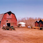 The old red barn with the roof overhang for the hated sling to put up loose hay—rendered obsolete by a ‘new’ baler from an auction.